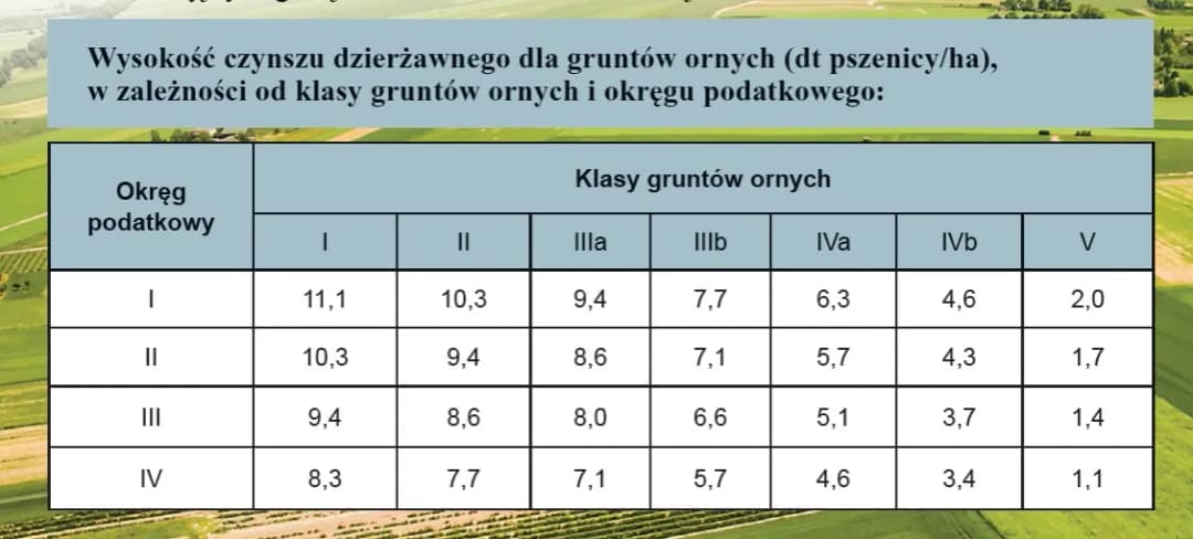 Czynsz dzierżawny co to jest i jak uniknąć niekorzystnych warunków